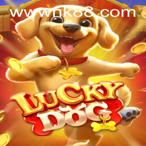 Dive into the World of LuckyDog: The Thrilling Game Exciting Players Everywhere